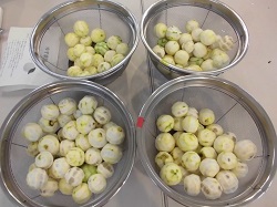 柚子胡椒3.jpg